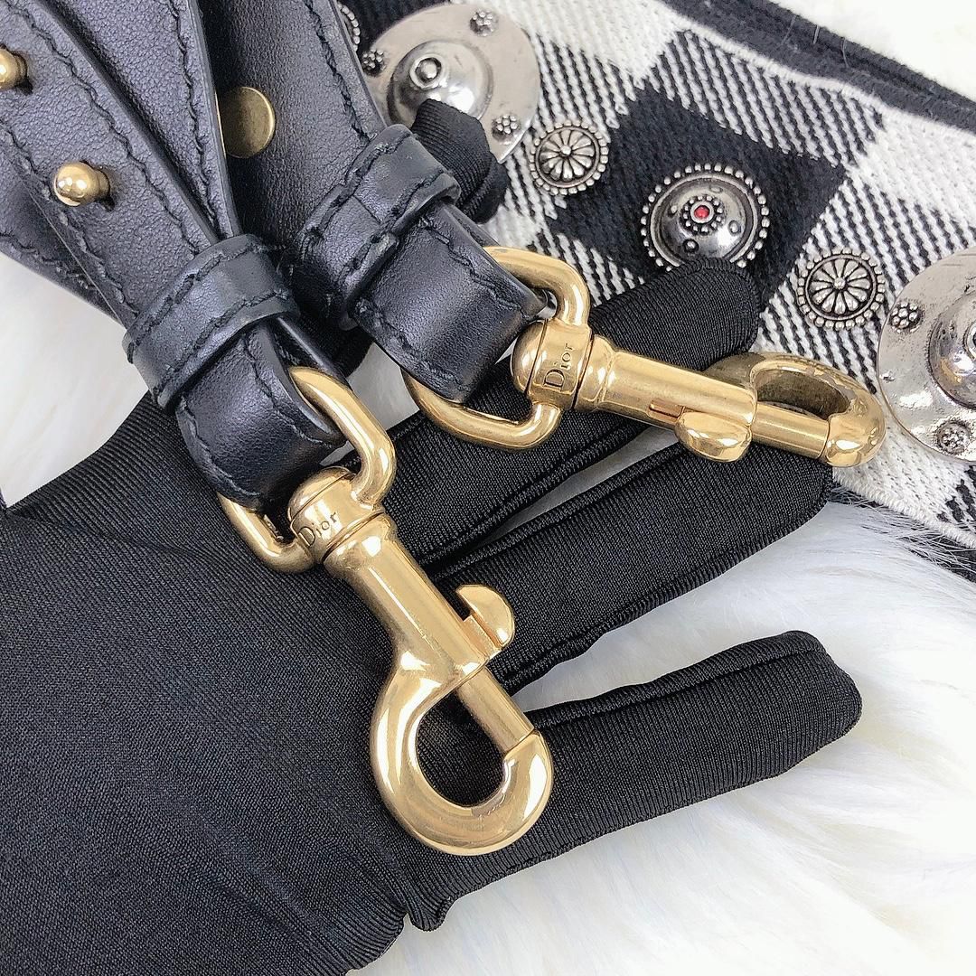 Christian Dior Saddle Bag and Strap