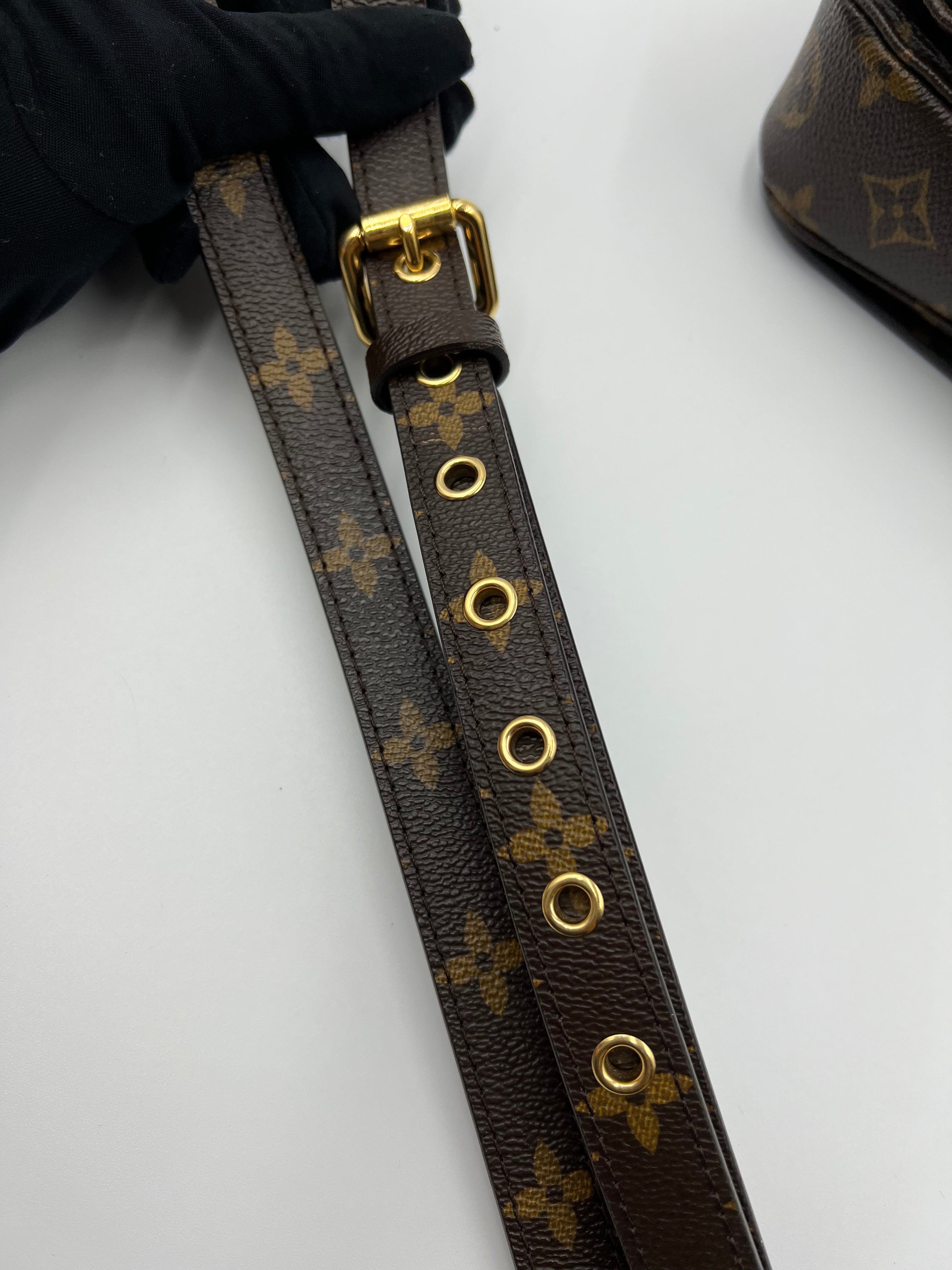 Louis vuitton pochete metis