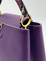 Load image into Gallery viewer, LOUIS VUITTON CAPUCINE BB, EXOTIC
