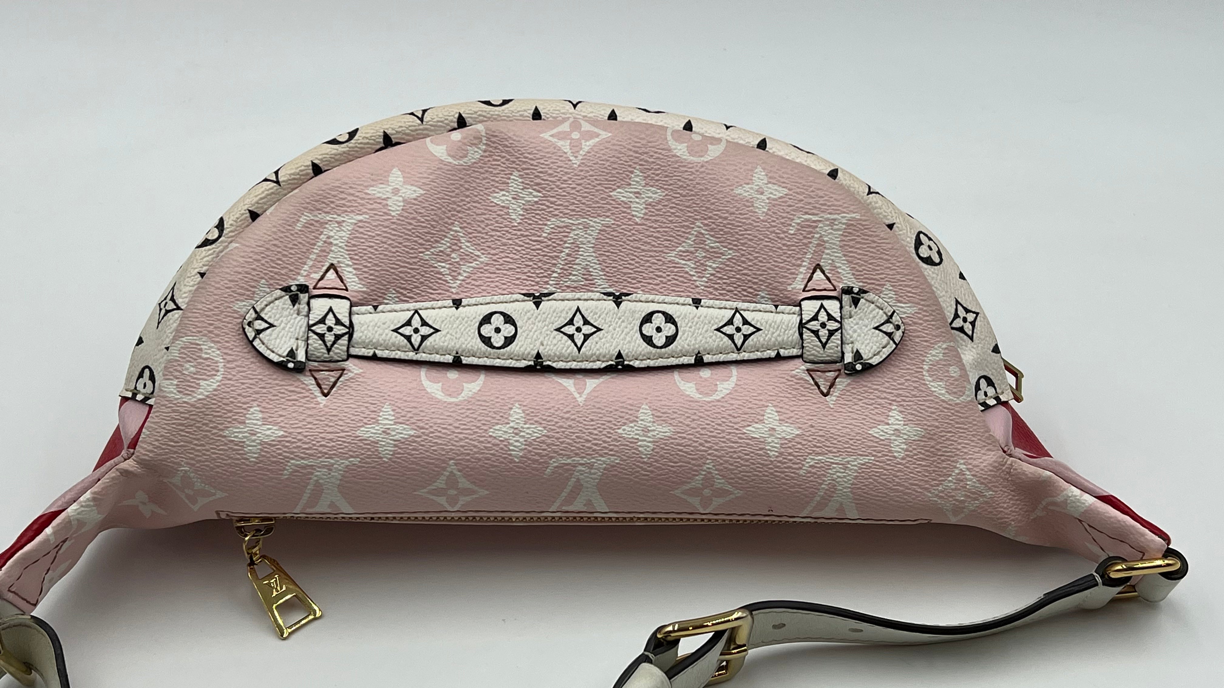 Louis Vuitton Bumbag Giant Monogram Collection