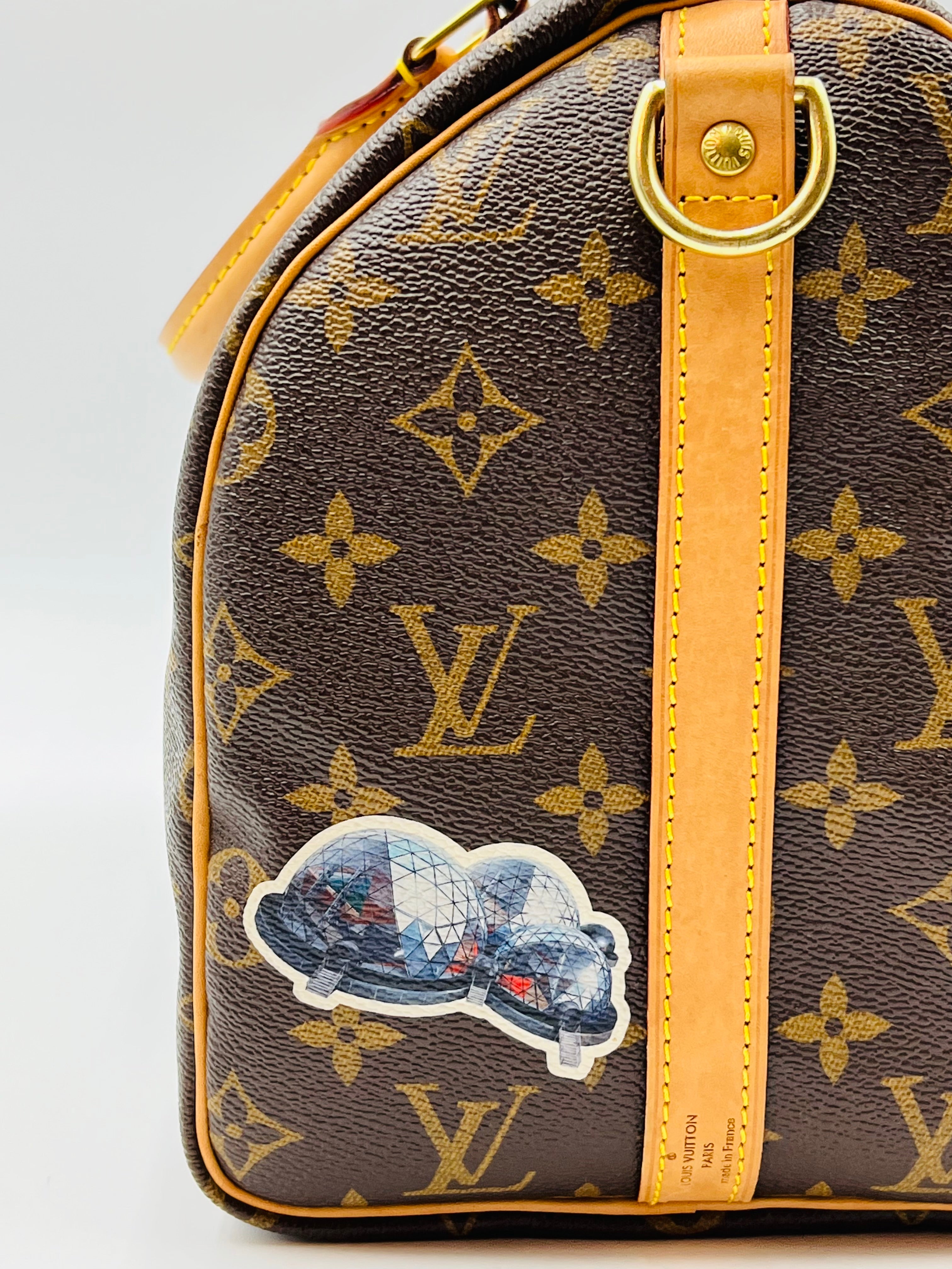 Louis vuitton speedy30 bandouliere world tour