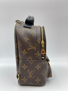 bella hadid palm spring mini backpack Louis Vuitton Palm Springs Mini Backpack