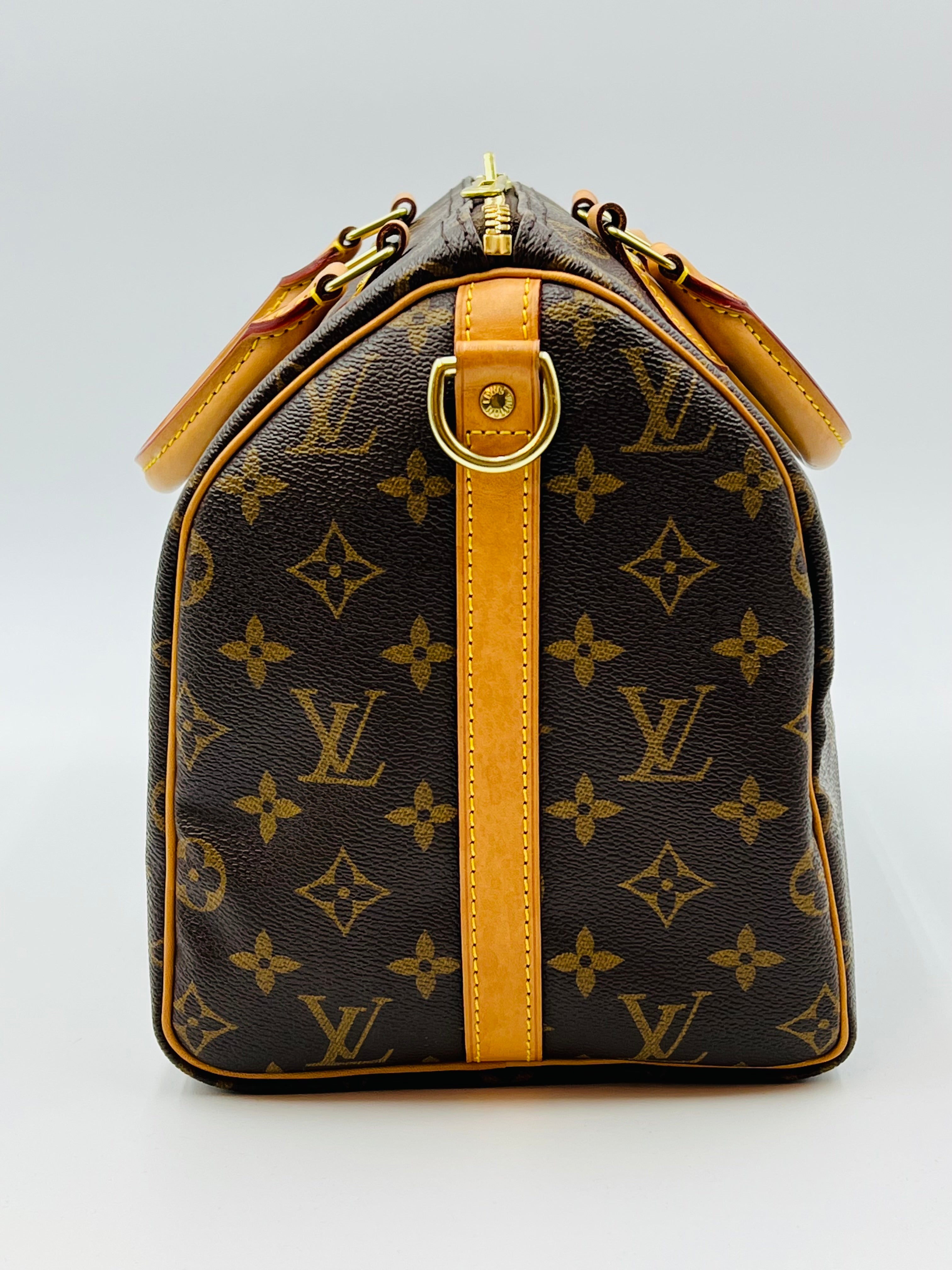 Louis vuitton speedy30 bandouliere world tour