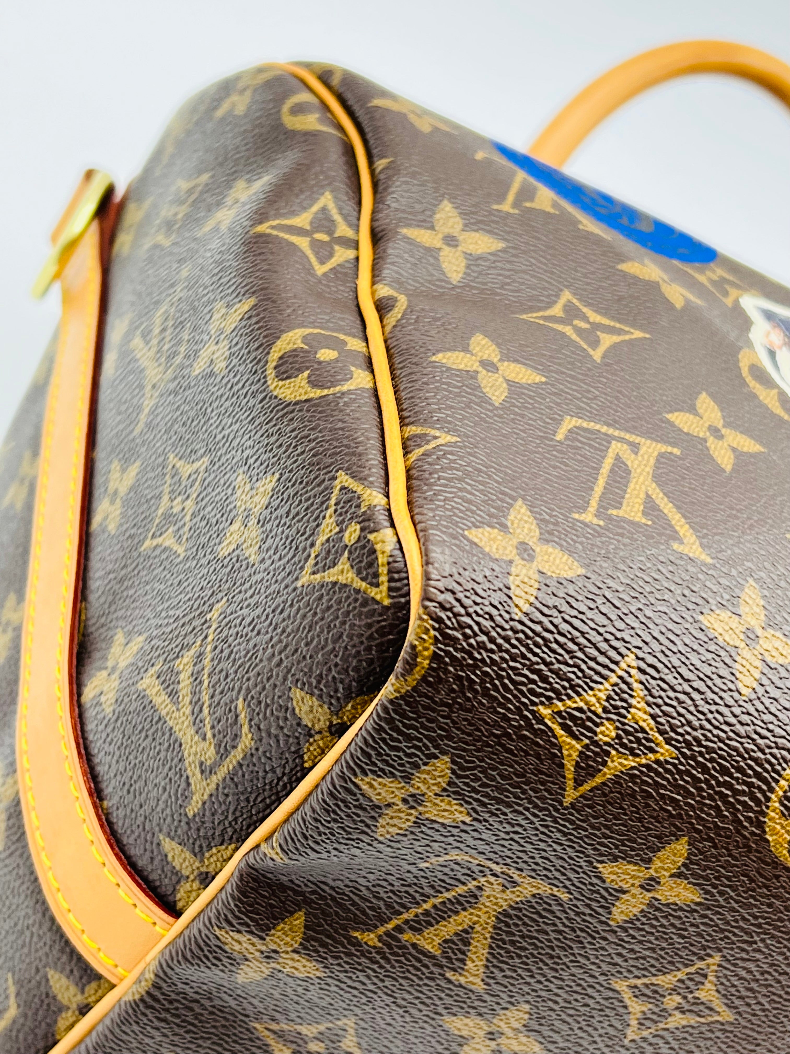 Louis vuitton speedy30 bandouliere world tour