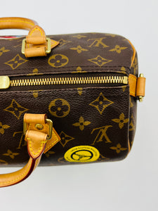 Louis vuitton speedy30 bandouliere world tour