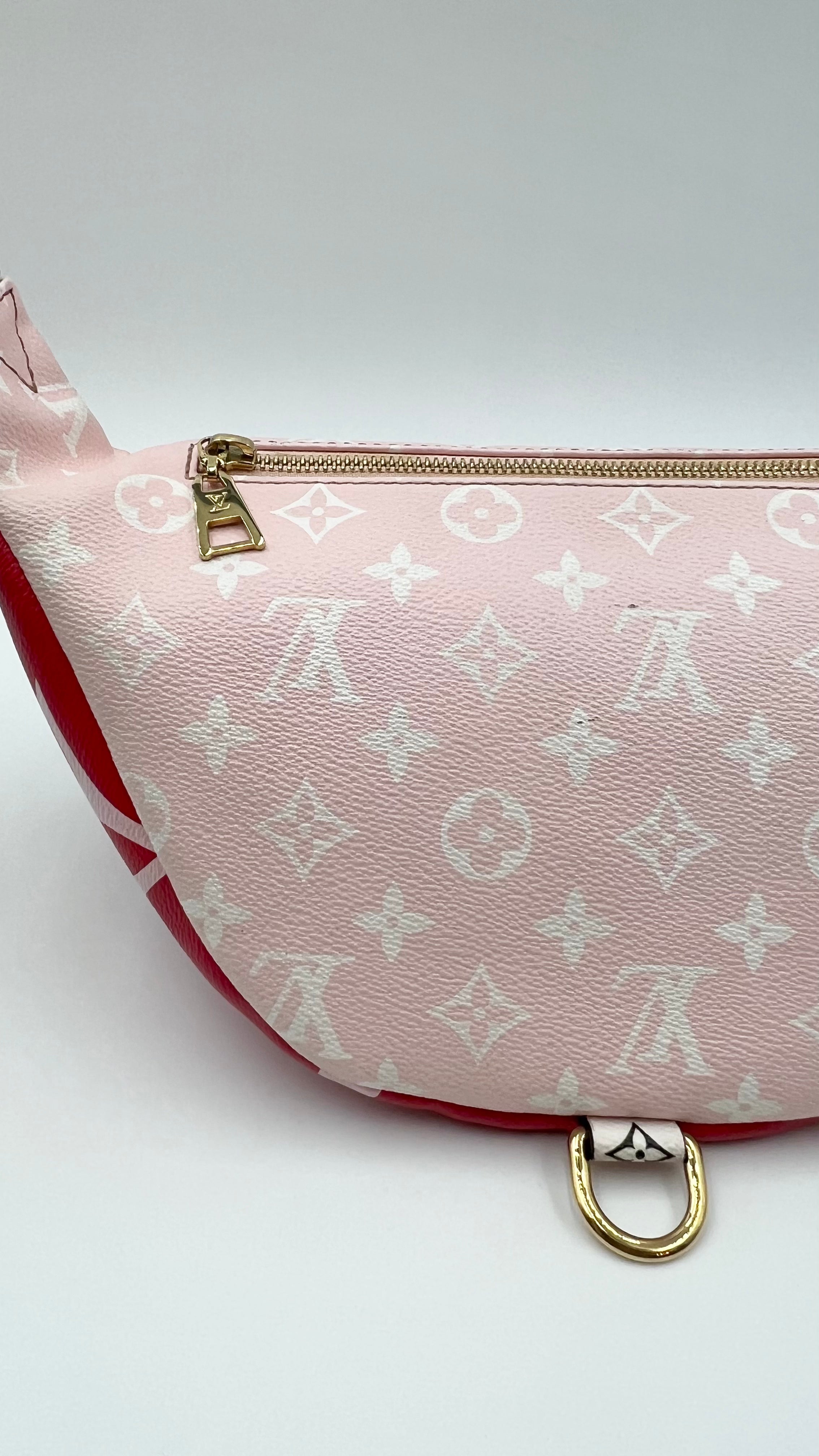 Louis Vuitton Bumbag Giant Monogram Collection