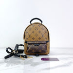Load image into Gallery viewer, LOUIS VUITTON Palm Spring Mini
