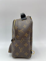 Load image into Gallery viewer, Louis vuitton palm spring mini
