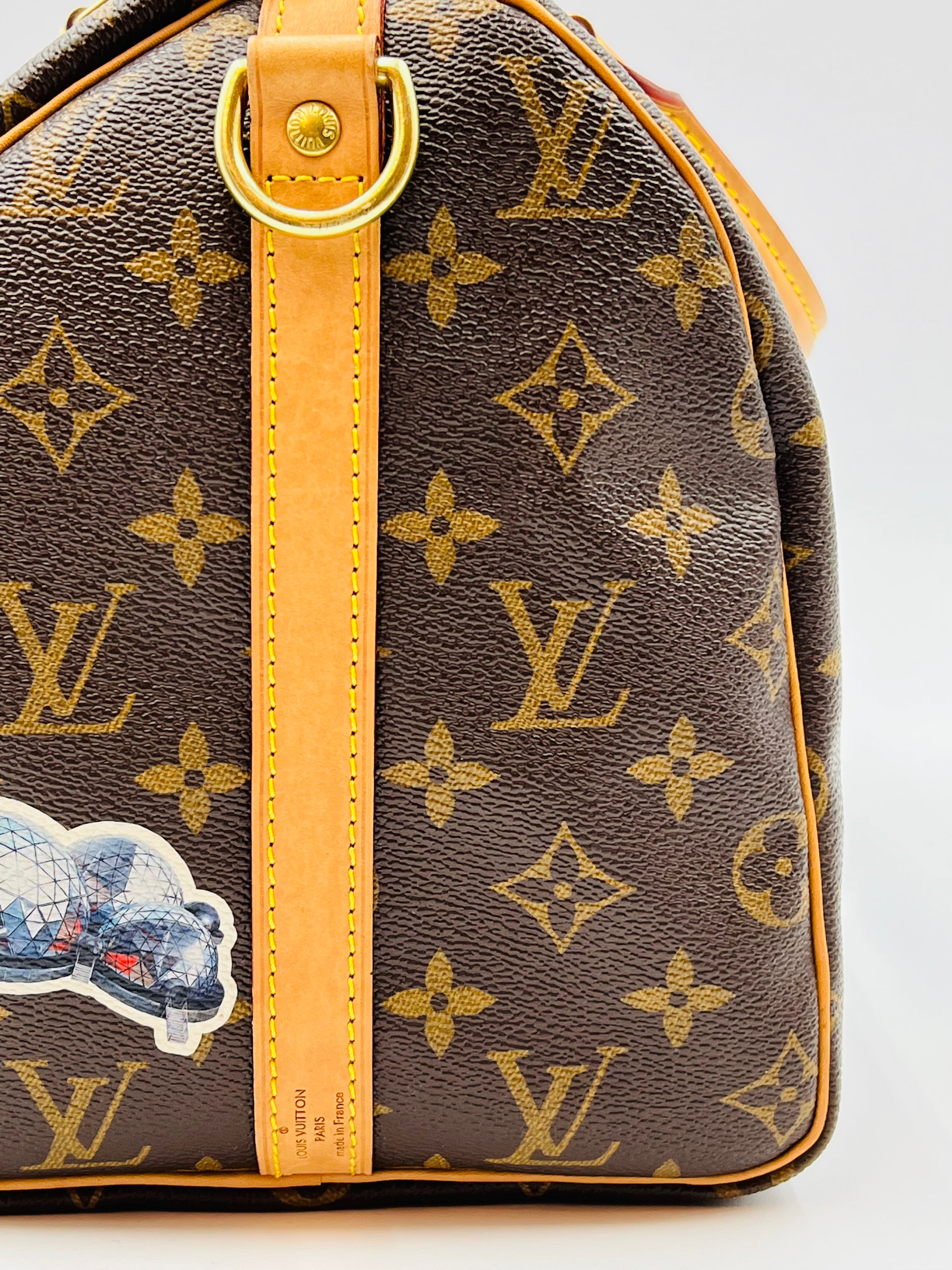 Louis vuitton speedy30 bandouliere world tour