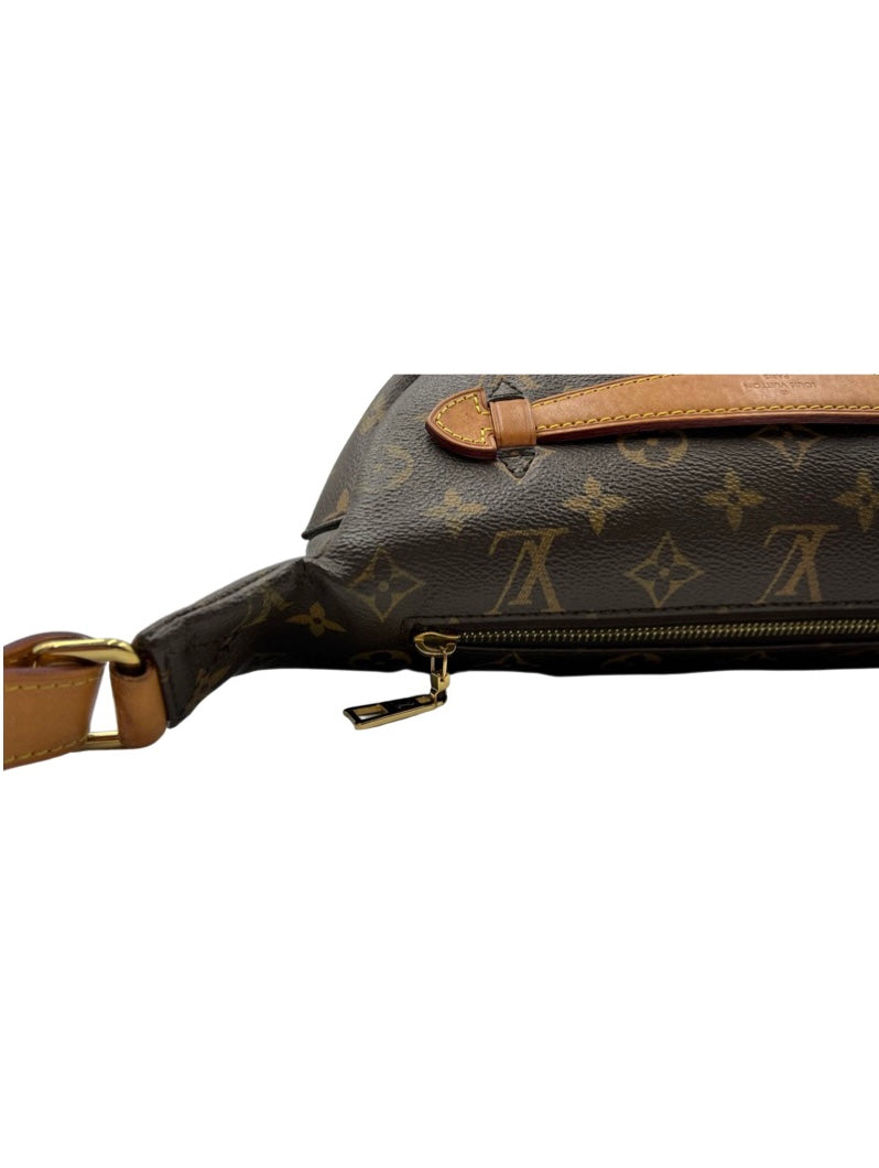 Louis Vuitton Monogram Bumbag