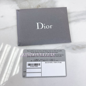 Dior saddle bag