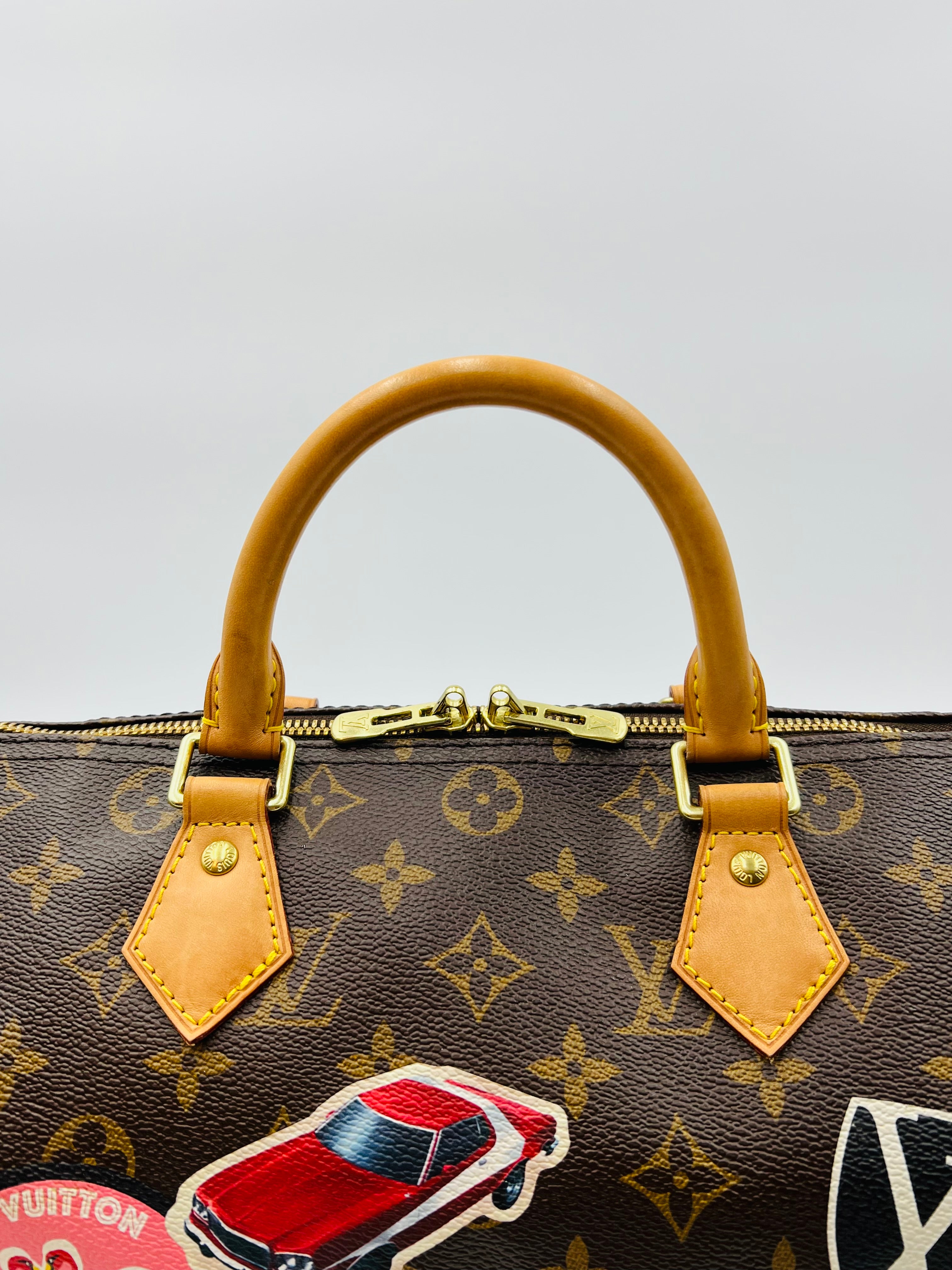 Louis vuitton speedy30 bandouliere world tour