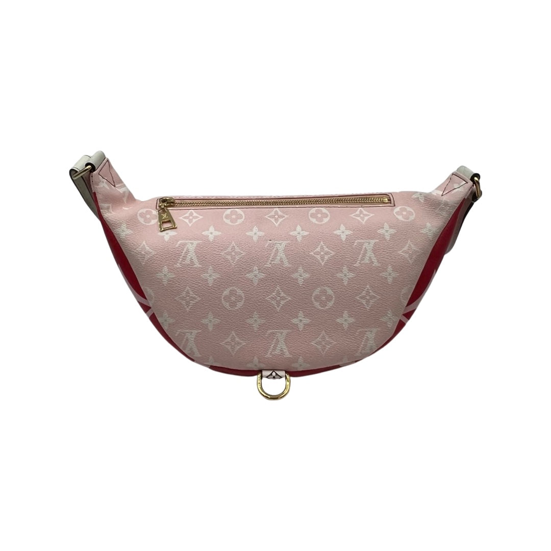 Louis Vuitton Bumbag Giant Monogram Collection